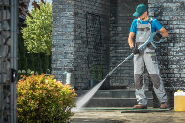 Best Animal Enclosure Cleaning  in Desert Hills, AZ